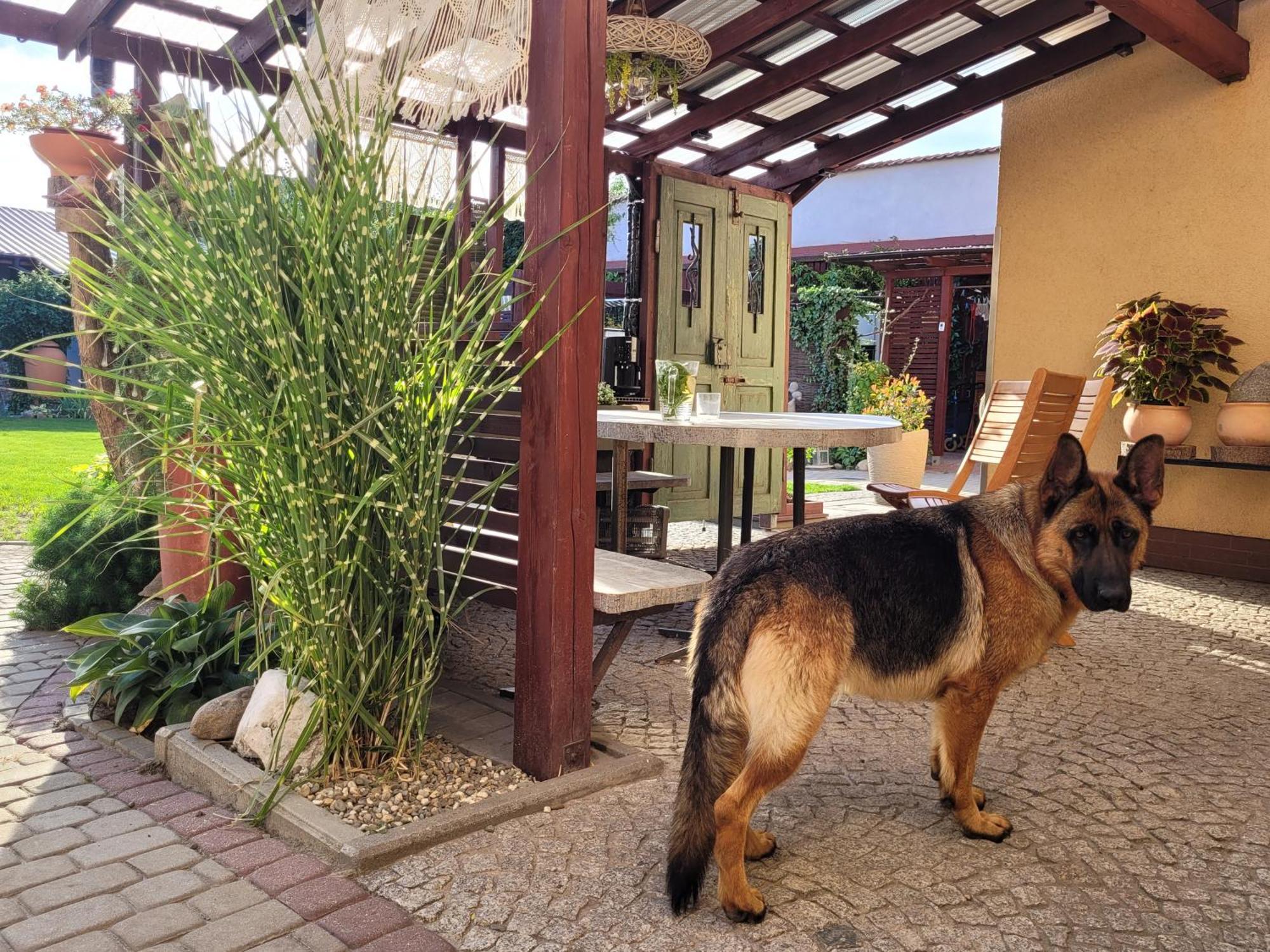 U Henriety Daire Wojnowice  Dış mekan fotoğraf